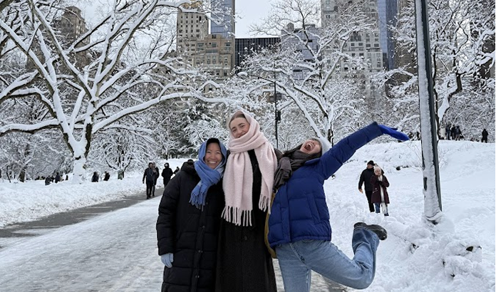 Central park on a snow day